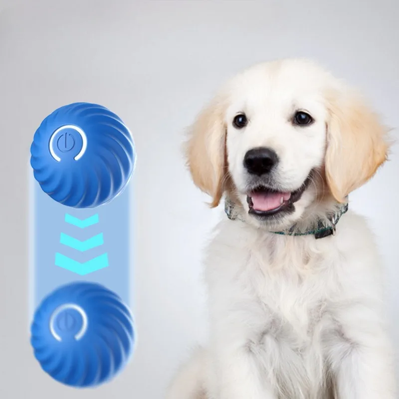 SS Evcil Hayvan Oyuncak Topu,  - Automatic Moving Dog Ball incelemesi ve fiyatı