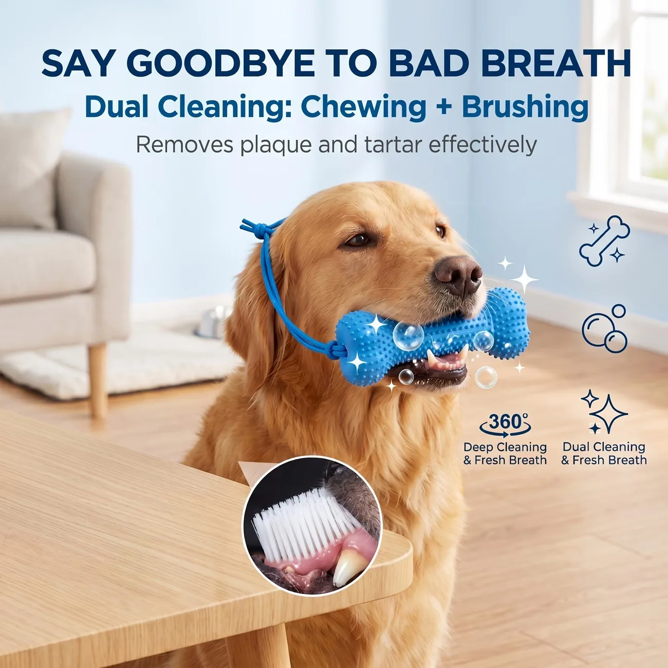 Yeniden Kullanılabilir Köpek O - Teeth Cleaning Dog Chew Bone incelemesi ve fiyatı