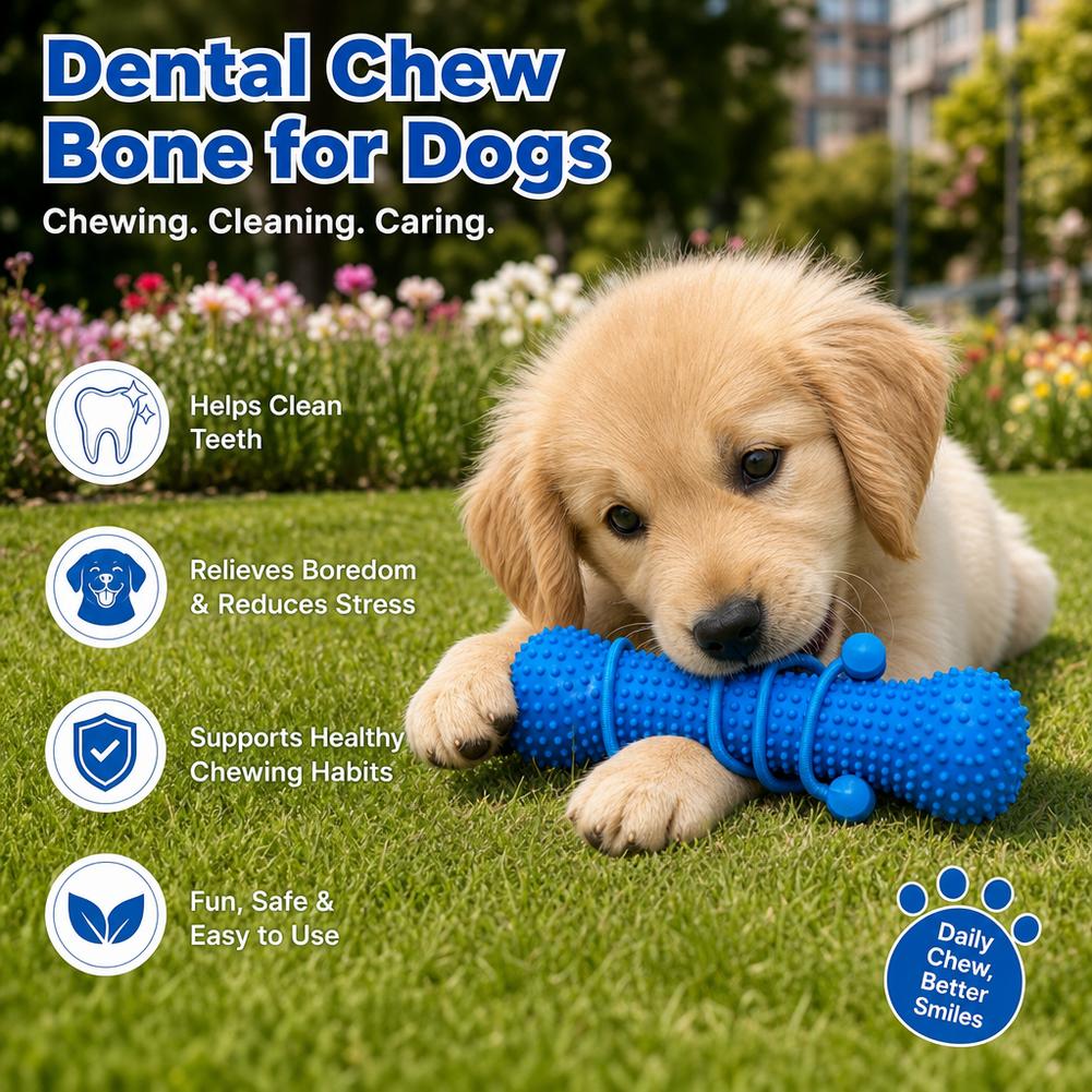 Küçük Evcil Hayvanlar İçin Pla - Teeth Cleaning Dog Chew Bone incelemesi ve fiyatı