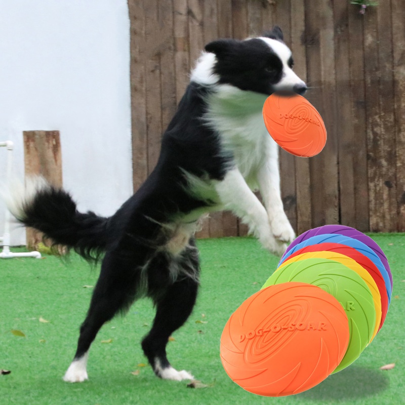 Köpekler ve Kediler için İnter - Indestructible Dog Chew Toy incelemesi ve fiyatı