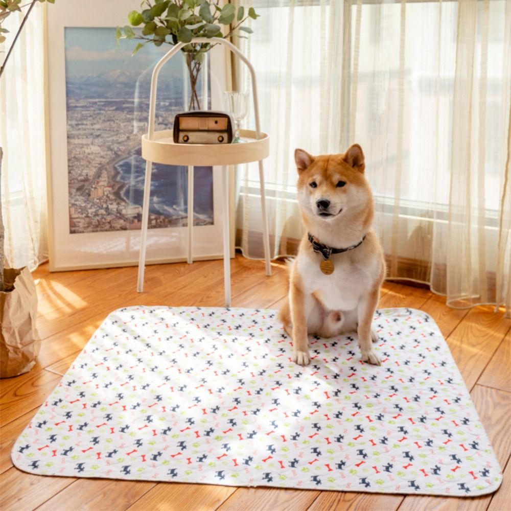 Süper Emici Evcil Hayvan Yatak - Pet Beds incelemesi ve fiyatı