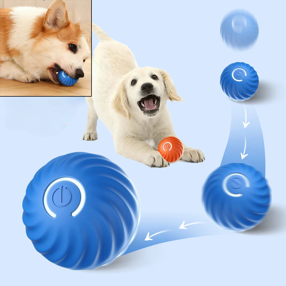 Otomatik Hareket Eden Köpek Oy - Automatic Moving Dog Ball incelemesi ve fiyatı