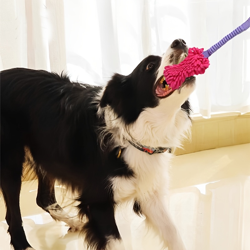 Agresif Çiğneyiciler İçin Daya - Indestructible Dog Chew Toy incelemesi ve fiyatı